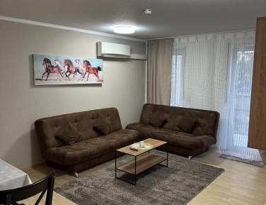 One-Bedroom Apartment with Terrace