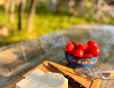 Deluxe Double Studio