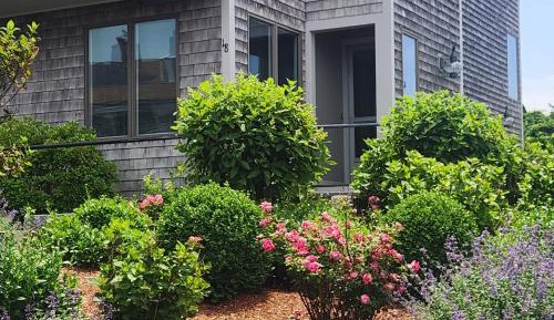 Three-Bedroom Apartment - Oceanfront