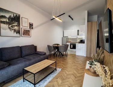 One-Bedroom Deluxe Apartment