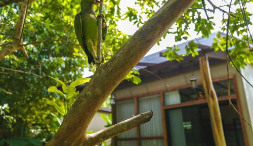 Superior Family Room