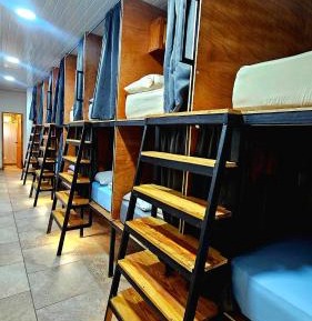Single Bed in 10-Bed Dormitory Room