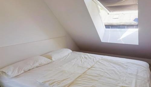 King Room with Garden View