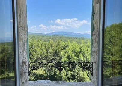 King Room with Garden View