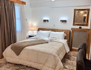 Deluxe One-Bedroom Apartment