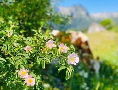 Apartment with Sauna