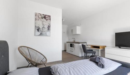 Large Single Room