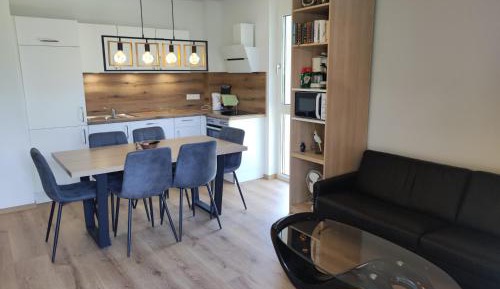 Deluxe One-Bedroom Apartment