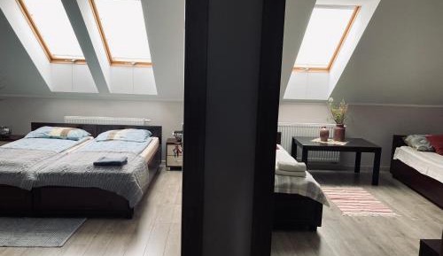 Standard Twin Room with Shared Bathroom