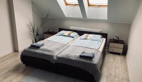 Double or Twin Room with Shared Bathroom