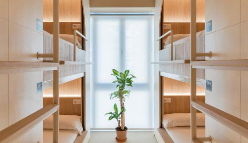 Single Bed in Female Dormitory Room