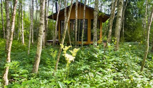 One-Bedroom House