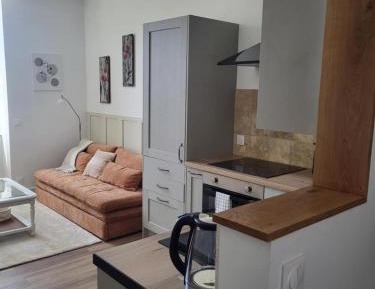 Apartment with City View