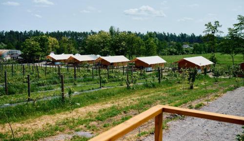 Two-Bedroom Apartment with Terrace