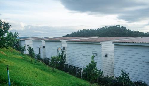 Standard Single Room with Mountain View