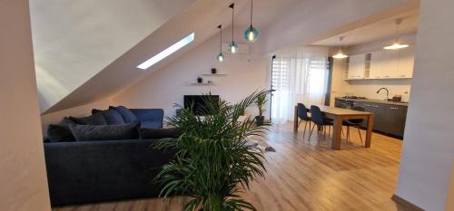 Penthouse Apartment