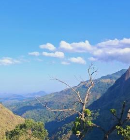 King Room with Mountain View