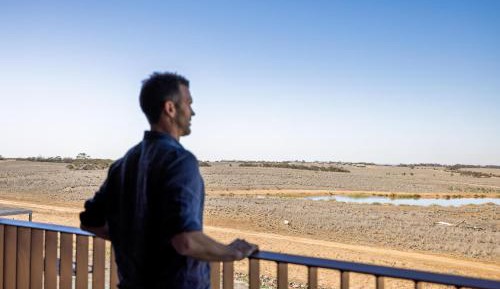 Waterhole View - King