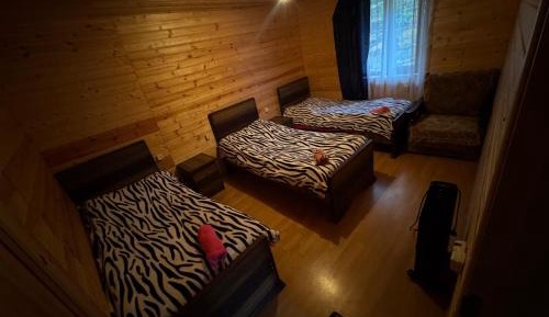 Budget Triple Room