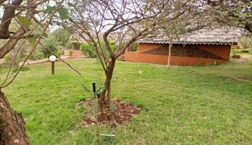 Standard Single Room with Shower