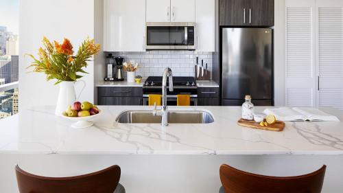 1 Bedroom Premium Apt in South Loop Chicago