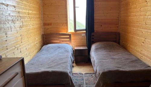 Standard Twin Room with Mountain View