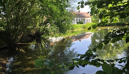 Villa with Garden View