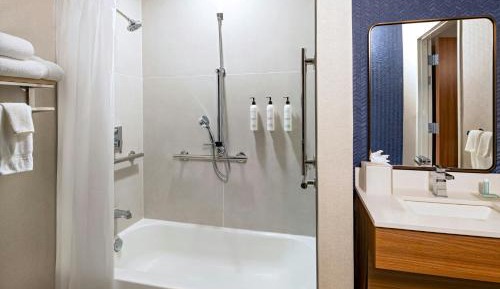One-Bedroom King Suite with Sofa Bed and Roll-in Shower - Mobility Accessible
