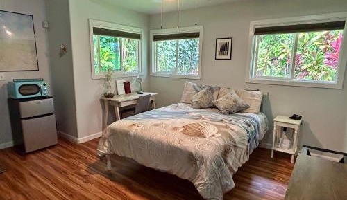 Studio with Garden View