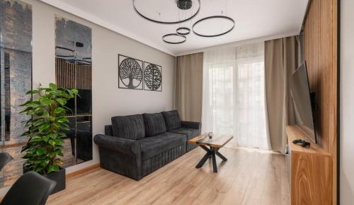 One-Bedroom Apartment with River View