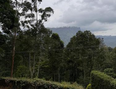 Twin Room with Garden View