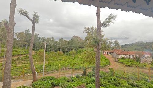 King Room with Mountain View