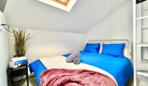 One-Bedroom Standard Apartment