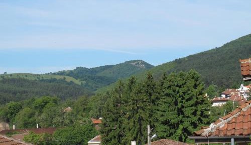 Double Room with Mountain View
