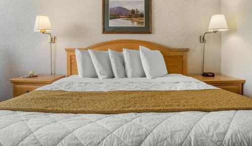 Standard King Room - Non-Smoking 