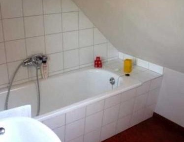 One-Bedroom Apartment with Shower