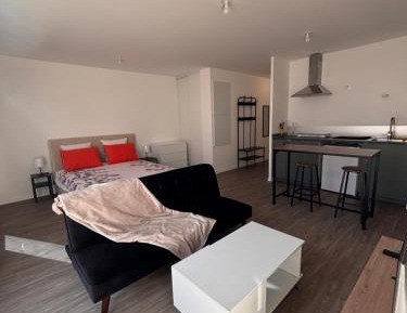 Studio Apartment