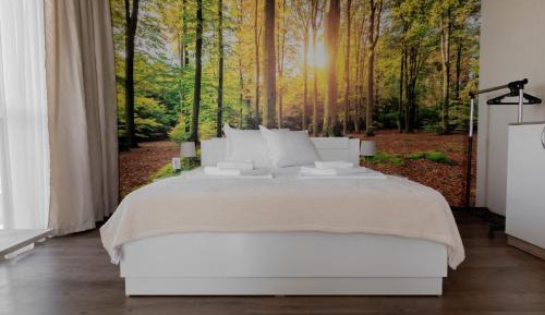 Superior Apartment with Balcony