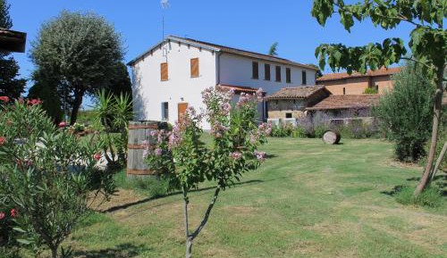 One-Bedroom Standard Apartment