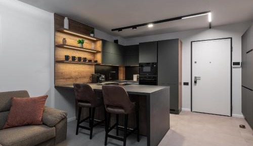 Deluxe One-Bedroom Apartment