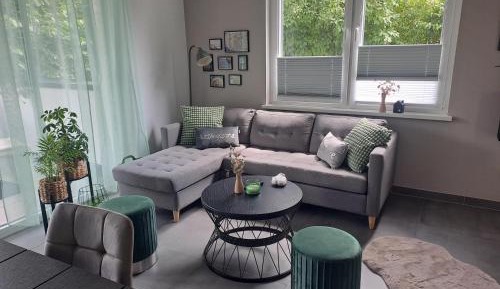 Deluxe Apartment with shower 