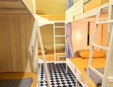 Bunk Bed in Mixed Dormitory Room