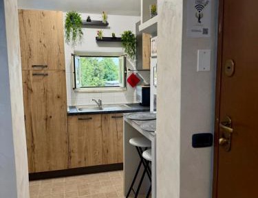 Two-Bedroom Standard Apartment