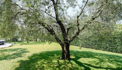 Two-Bedroom Standard Apartment