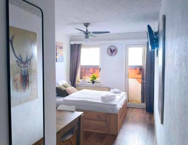 Double Room with Mountain View