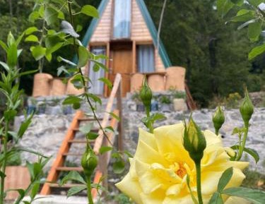 Family Room with Mountain View