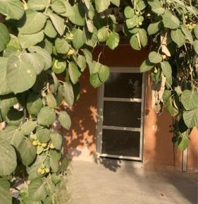 Suite with Garden View