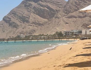 Three-Bedroom Premium Apartment with Resort View