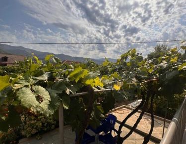 Apartment with Mountain View