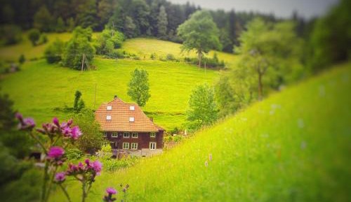 Two-Bedroom Superior Apartment